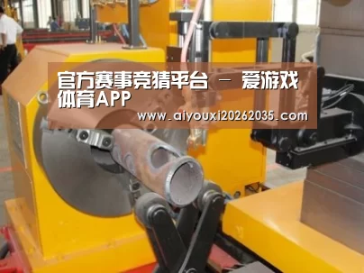 产品名称十四