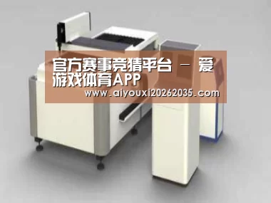产品名称十三