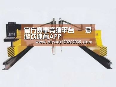 产品名称十九