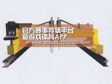 产品名称十七