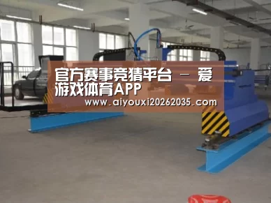 产品名称十九