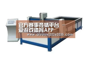 产品名称九
