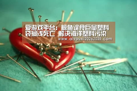爱游戏平台:鲸鱼误食巨量塑料袋搁浅死亡 解决海洋塑料污染刻不容缓(图3) 爱游戏赛事