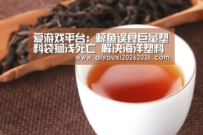 爱游戏平台:鲸鱼误食巨量塑料袋搁浅死亡 解决海洋塑料污染刻不容缓(图4) 爱游戏平台