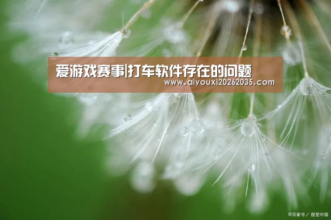 爱游戏赛事|打车软件存在的问题(图3) 爱游戏平台